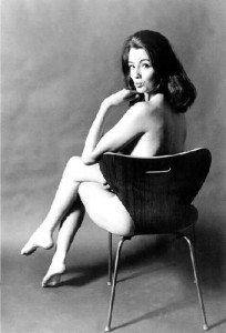arne jacobsen - series 7 chair