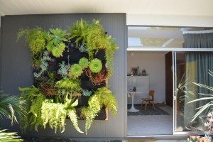 eichler home- karolina Buchner - exterior