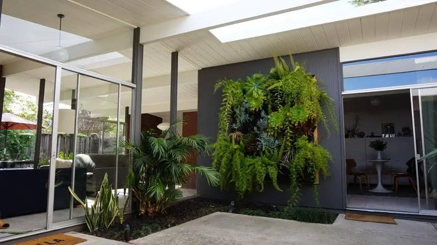 eichler home- karolina Buchner - patio