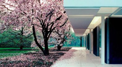 saarinen miller house