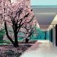 saarinen miller house