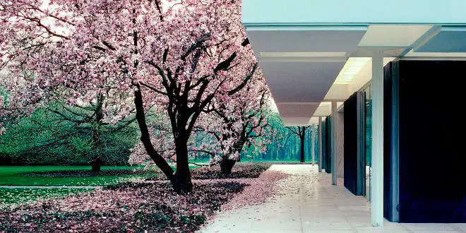 saarinen miller house