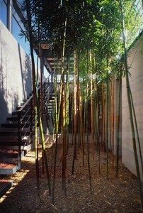 modernist house - chile - casa viejo - mathias klotz - exterior