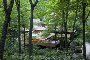 frank lloyd wright - fallingwater