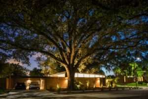 mid-century modern renovation in New Orleans - exterior