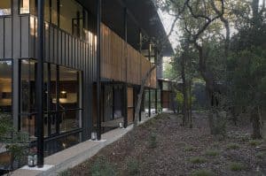 House in trees - Tim Cuppett Architects
