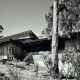 architect Wm F. Hempel Japanese style house_exterior