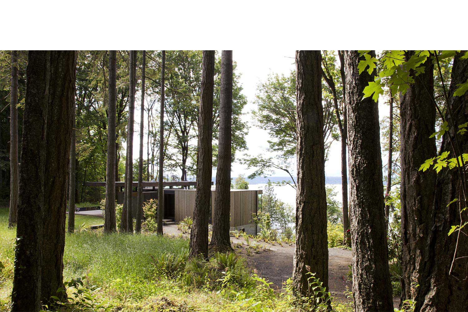 contemporary house - mwworks - Case Inlet Retreat - outside