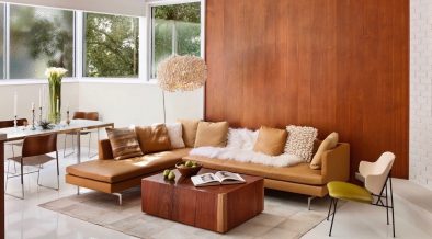 Mid-century Burnett Residence - living room