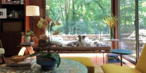 mid-century house renovation -