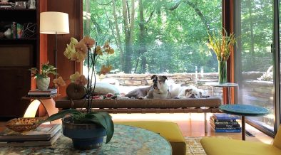 mid-century house renovation -