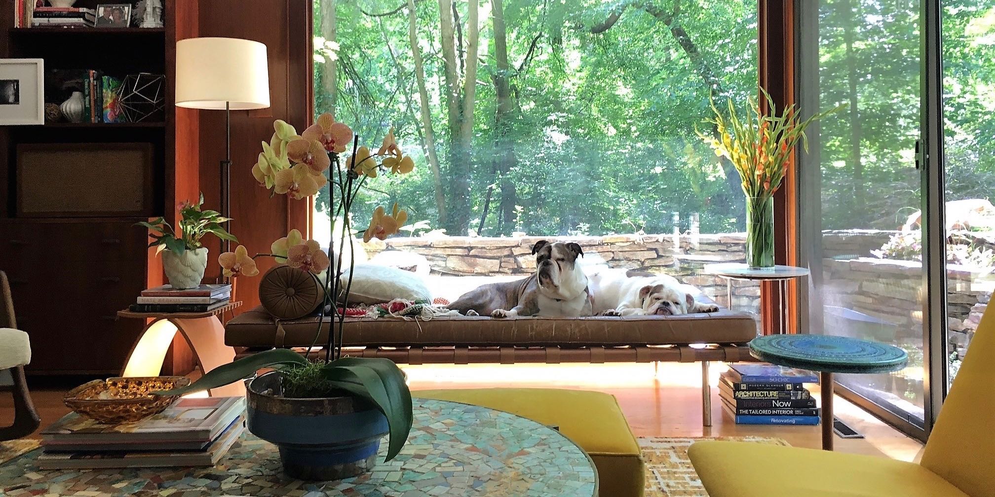 mid-century house renovation -