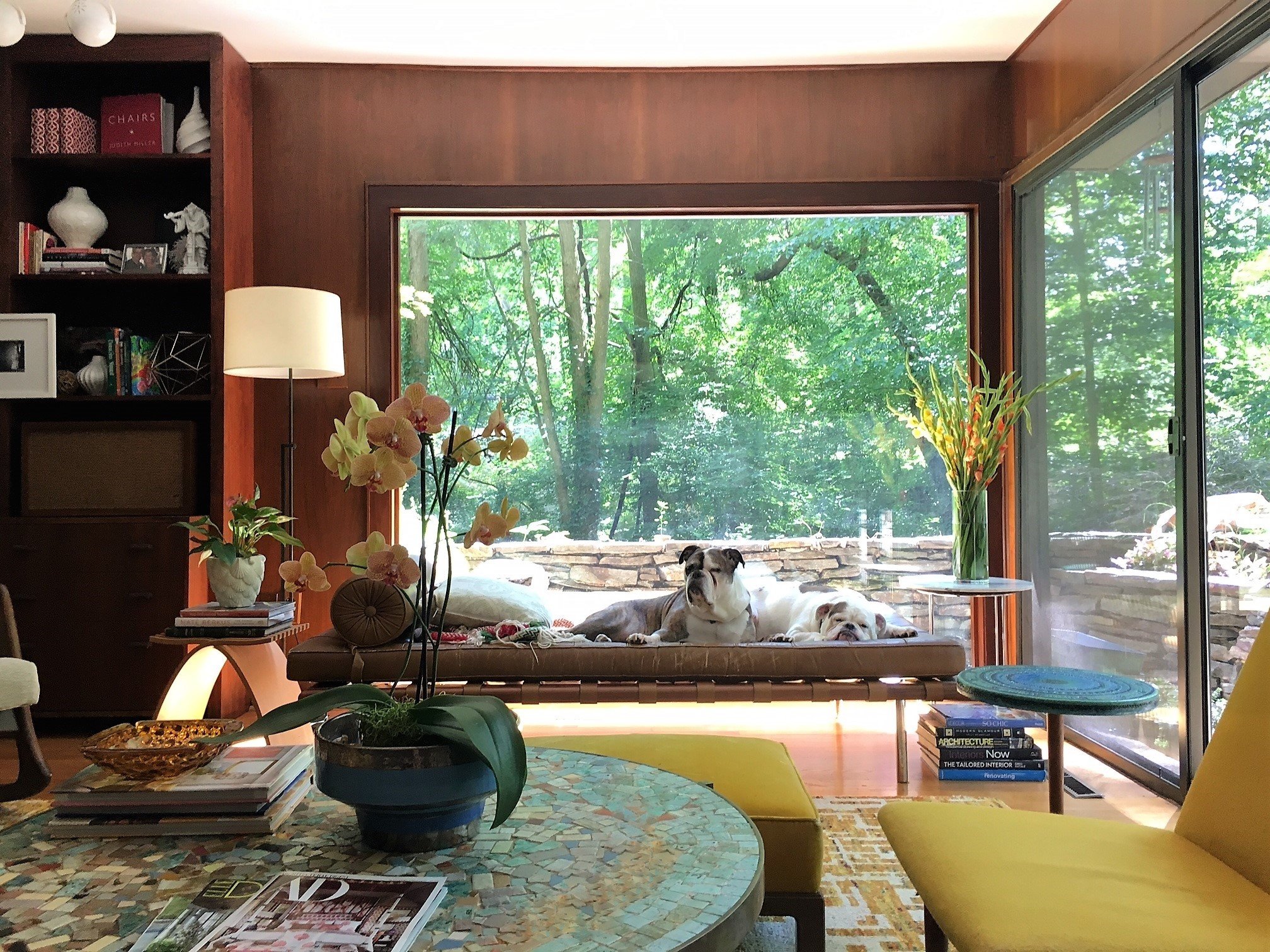 mid-century house renovation - living area