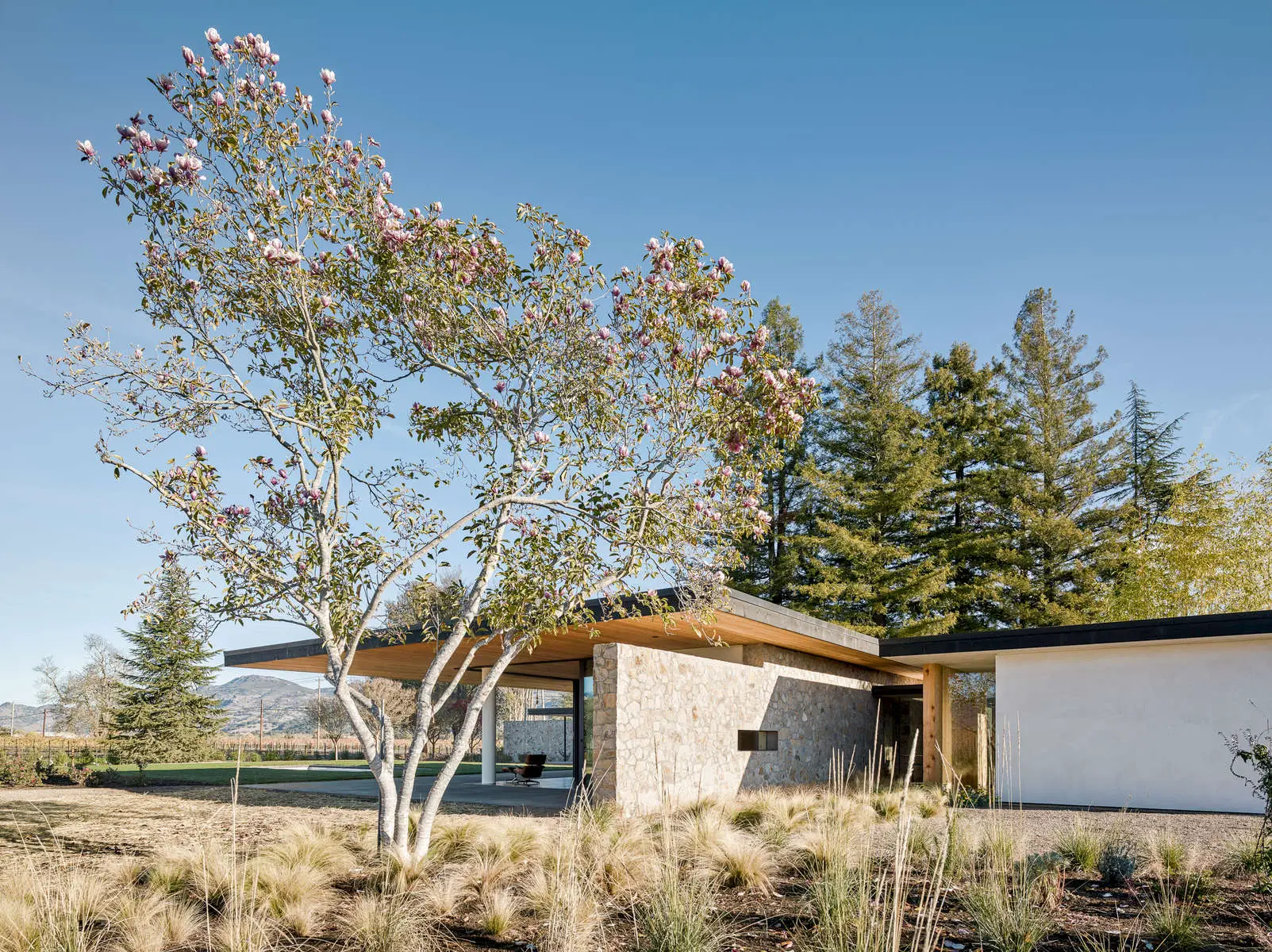Jorgensen Design - Oak Knoll contemporary Residence - exterior