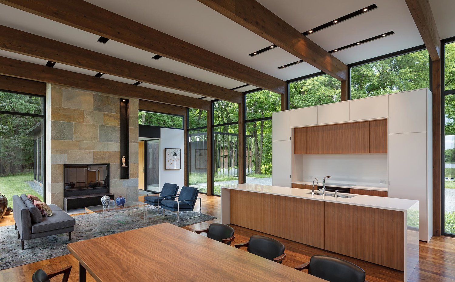 Modernist Woodland House - Altus architecture - kitchen