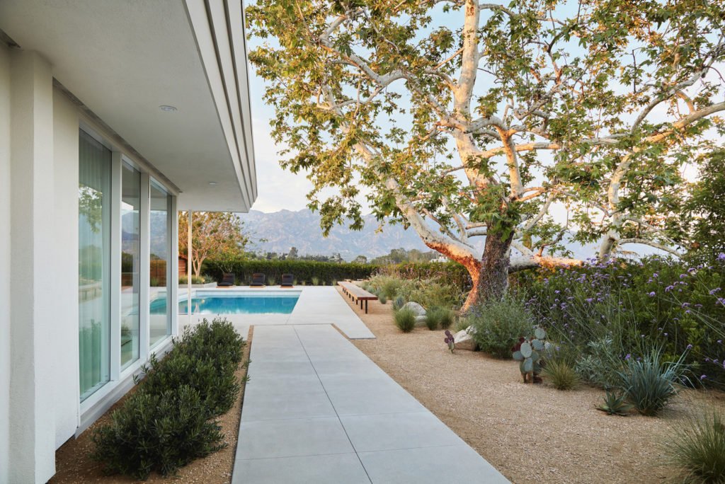 Modernist home - Pasadena - Exterior