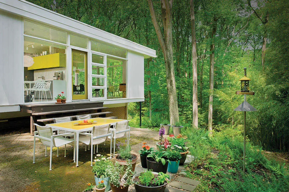 Midcentury home landscape renovation