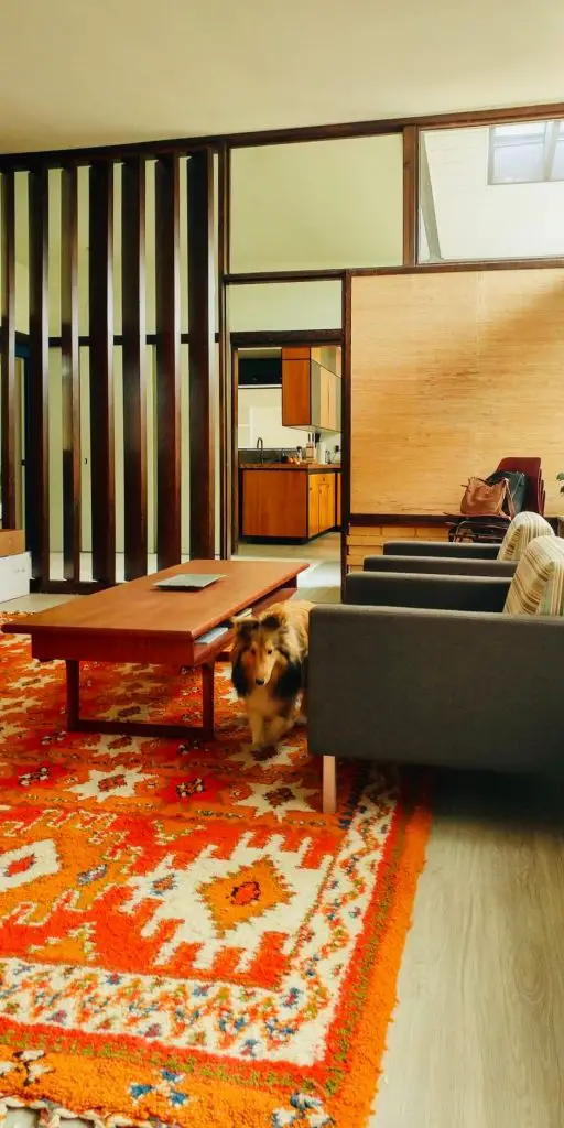 Bauhaus Meets 1954 Midcentury home - living