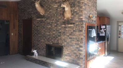 To Paint or Not to Paint a Midcentury Brick Wall?