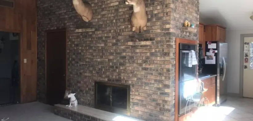 To Paint or Not to Paint a Midcentury Brick Wall?