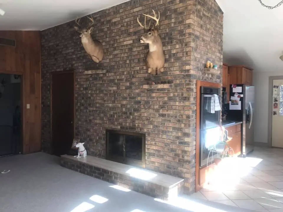 To Paint or Not to Paint a Midcentury Brick Wall?