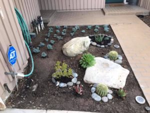 black mulch or gravel for landscaping?