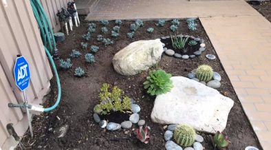 black mulch or gravel for landscaping?