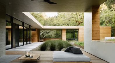 Arroyo Sequoia