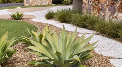 Plants for Midcentury house front garden