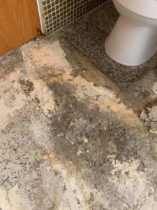Restore terrazzo tiles