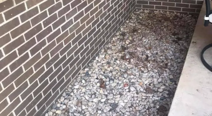 Midcentury entryway rocks