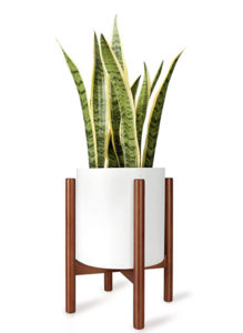 Midcentury pot holder