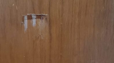 door dent