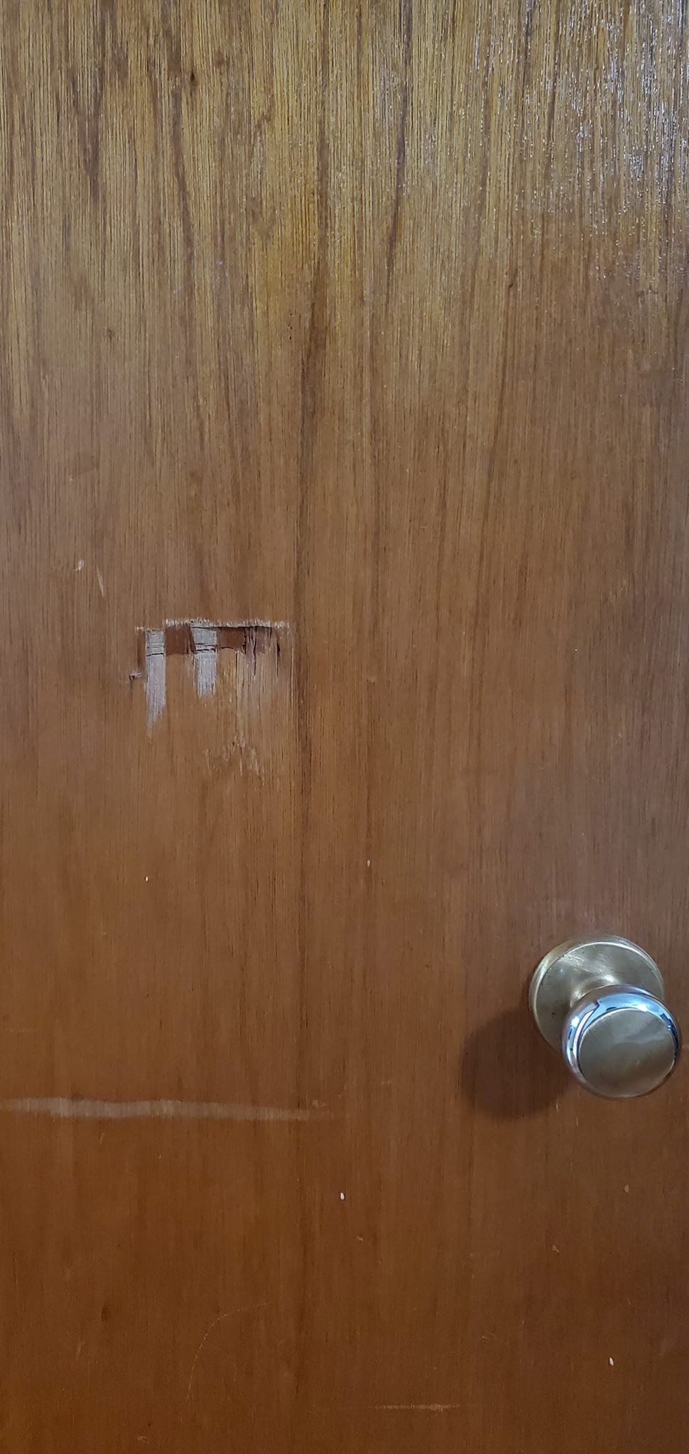 door dent