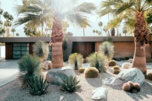 garden ideas