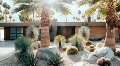 garden ideas