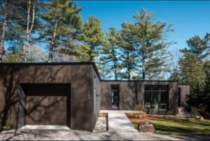 cedar