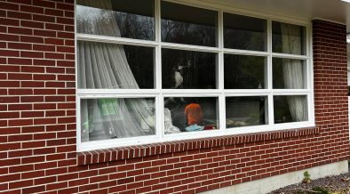 windows