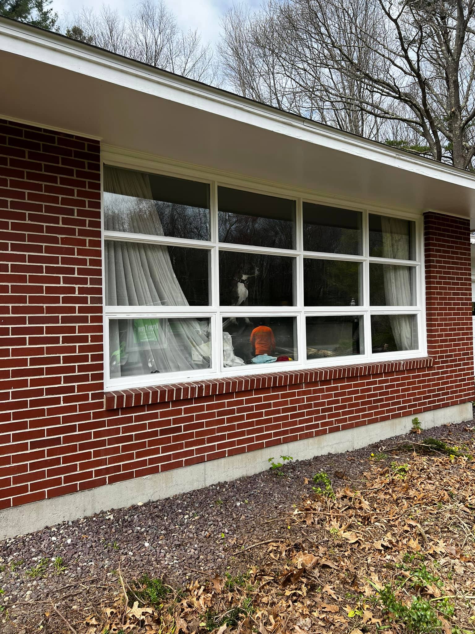 windows