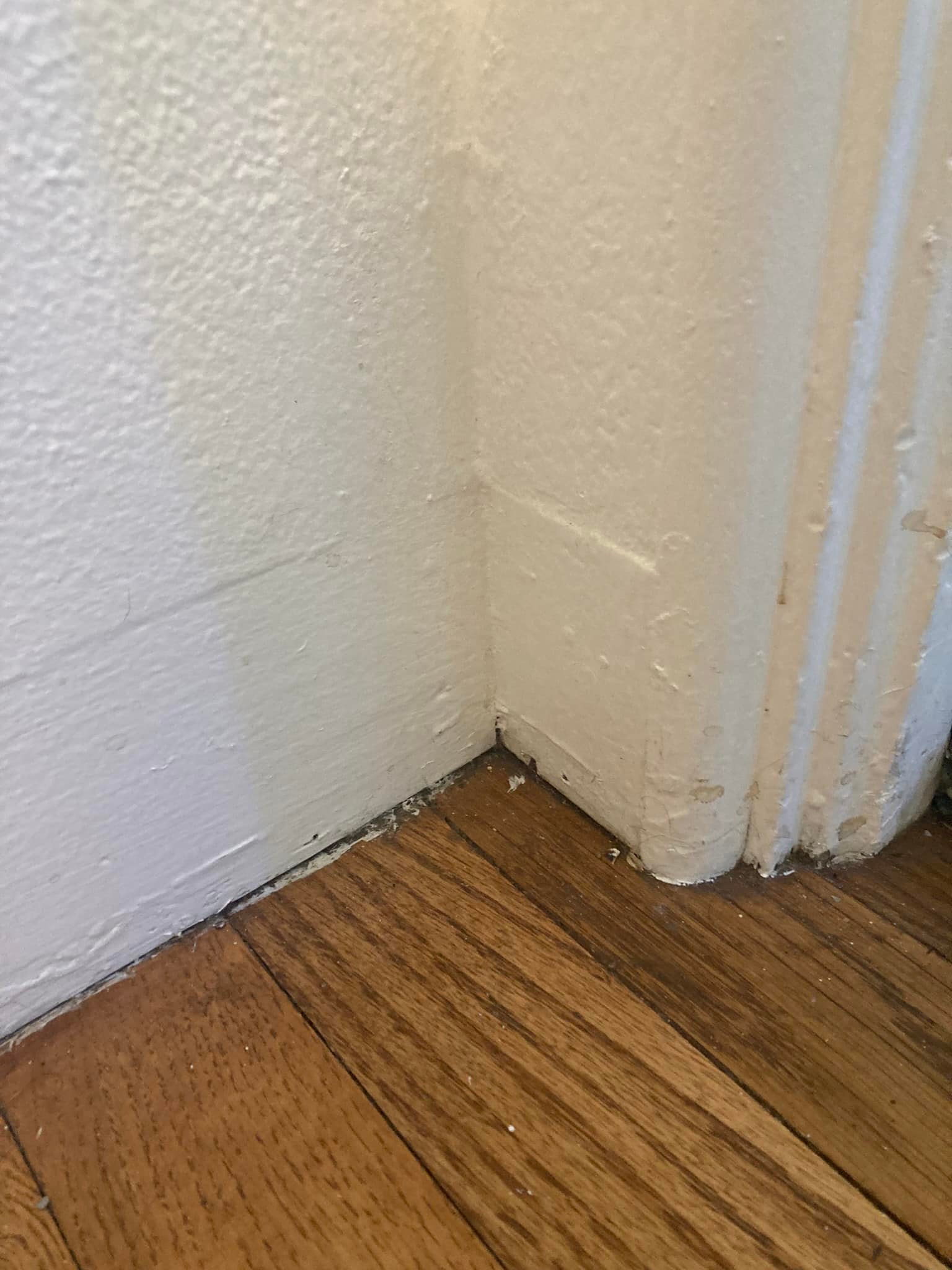 baseboard