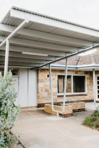Spotted Gum
