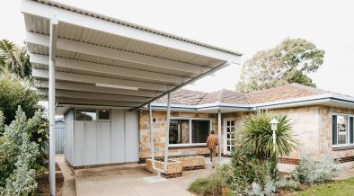Spotted Gum