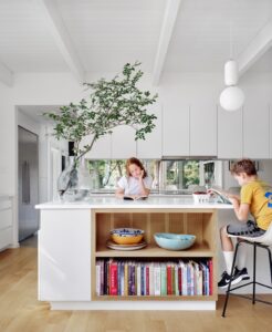 1960 home Austin - kitchen