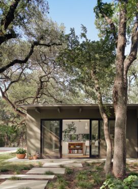 1960 home Austin - backyard