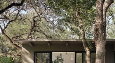 1960 home Austin - backyard