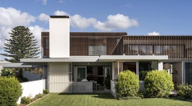 modernist house with contrasting materials Aukland - backyard