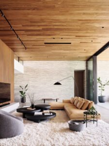 Contemporary modernist home in california - living room