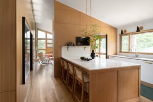 Midcentury house in Indiana - kitchen