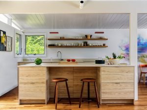 Mid-century renovation Fire Island - kitchen