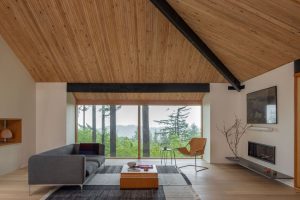 Forest Remodel - Living Room